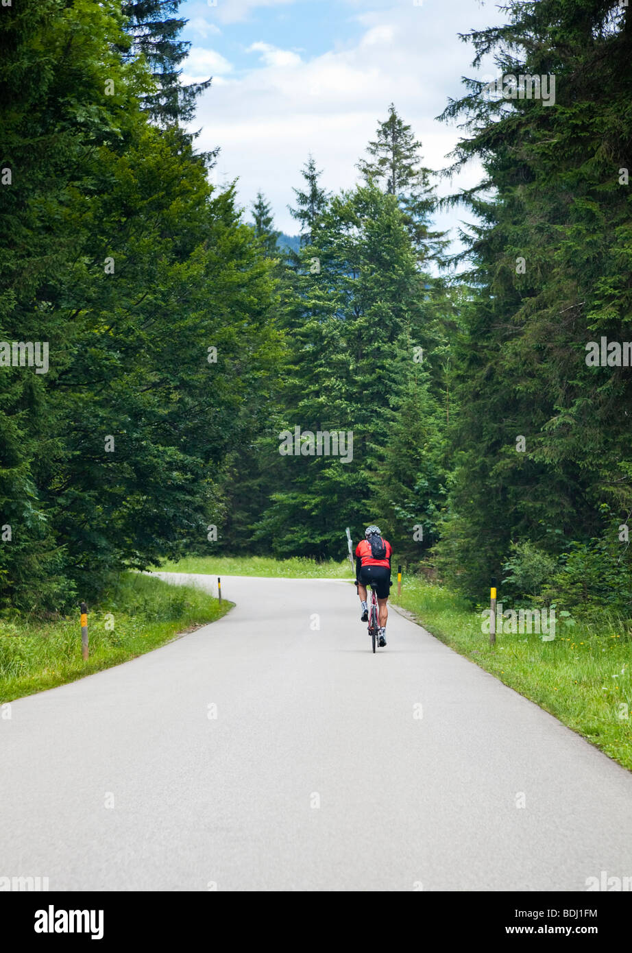 Ciclismo, Germania, Europa - ciclista solitario su una strada forestale bavarese nel sud della Germania, in Europa Foto Stock