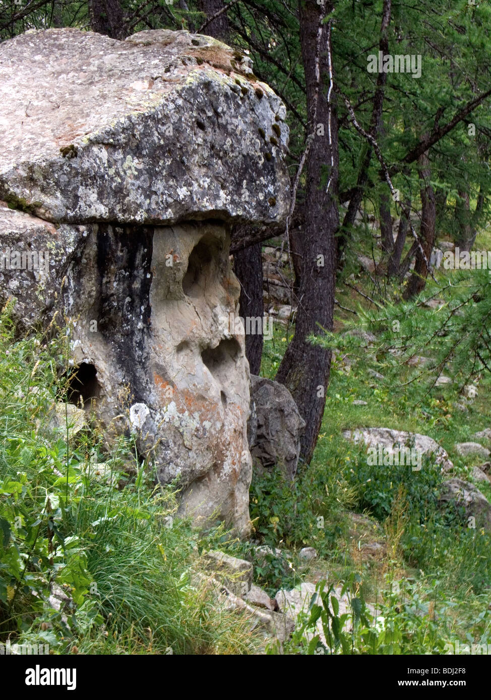 Cranio Rock, Col d'Allos, alpi marittime, Francia Foto Stock