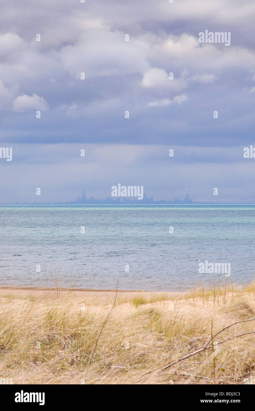 Vista sul centro di Chicago Foto Stock