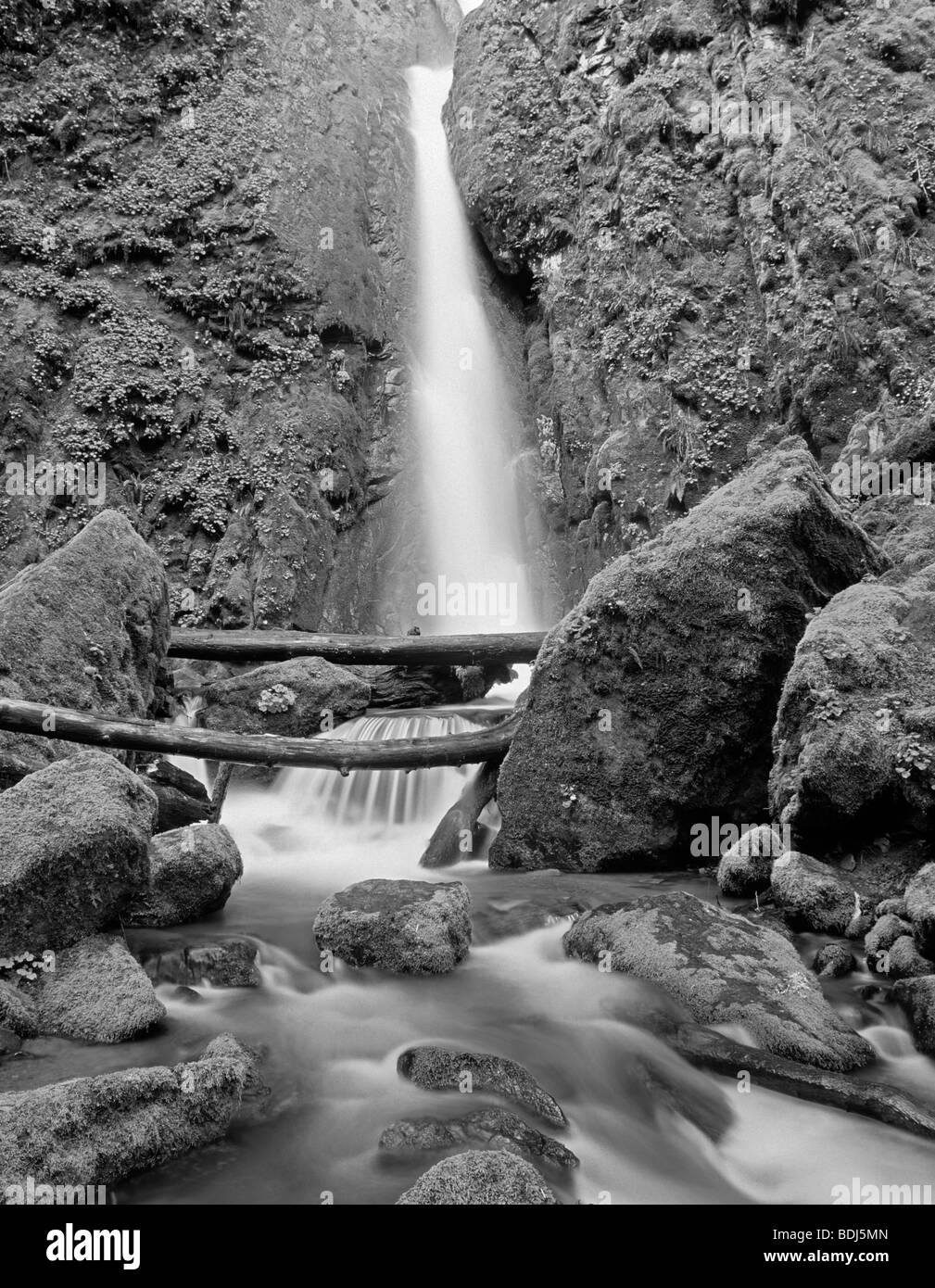 Soda Creek Falls. Cascadia parco dello stato. Oregon. Foto Stock