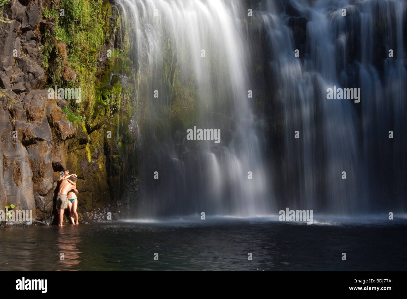 Un paio di baciare in Medio scende, Shasta-Trinity National Forest, McCloud, Siskiyou County, California, Stati Uniti d'America Foto Stock