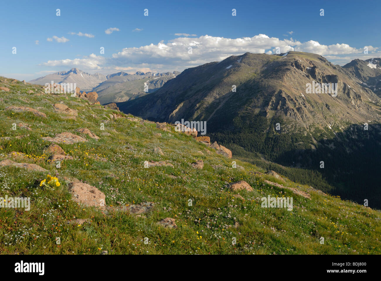 Paesaggio alpino nel Parco Nazionale delle Montagne Rocciose, Colorado Foto Stock