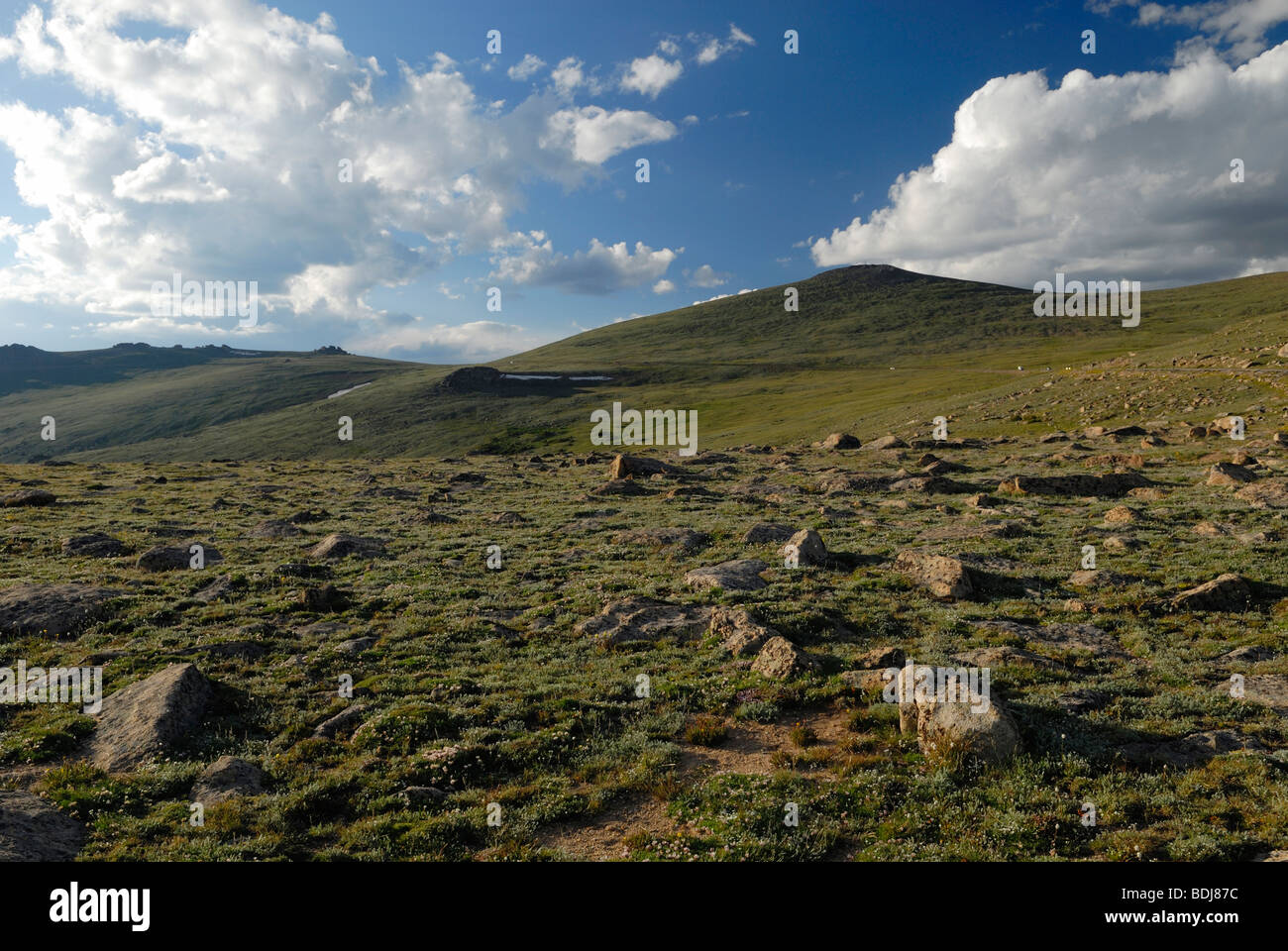 Tundra alpina sul sentiero crinale nel Parco Nazionale delle Montagne Rocciose Foto Stock