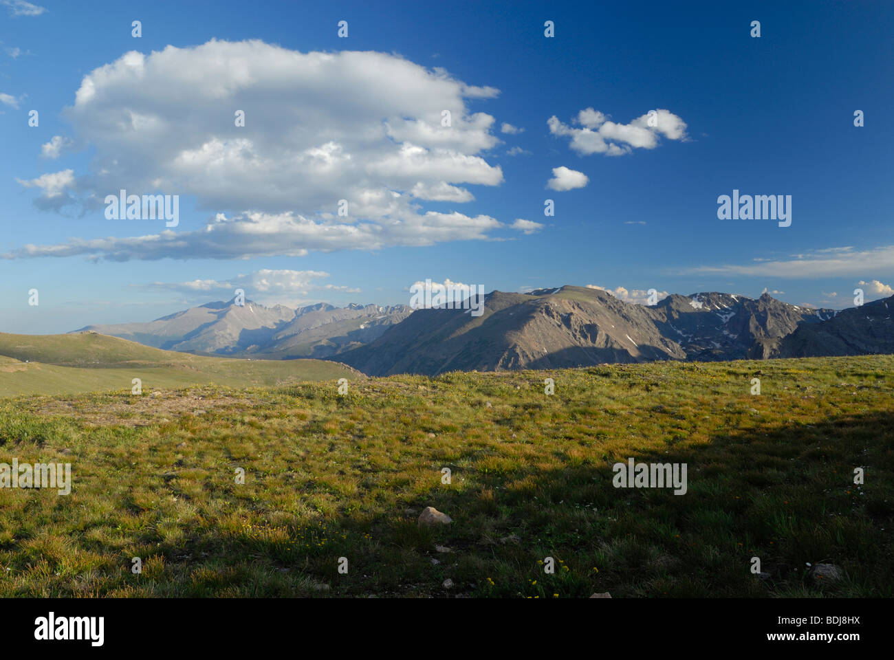 Paesaggio alpino nel Parco Nazionale delle Montagne Rocciose, Colorado Foto Stock