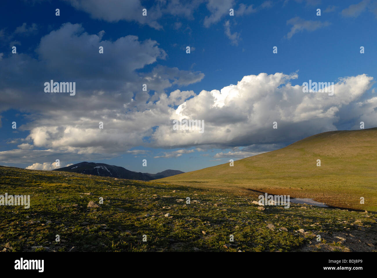 Paesaggio alpino nel Parco Nazionale delle Montagne Rocciose, Colorado Foto Stock