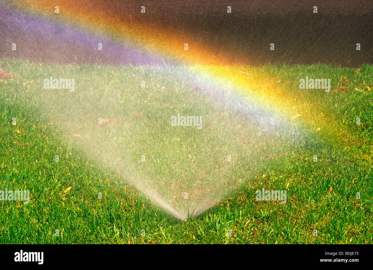 Impianti sprinkler sul prato, Rainbow Foto Stock