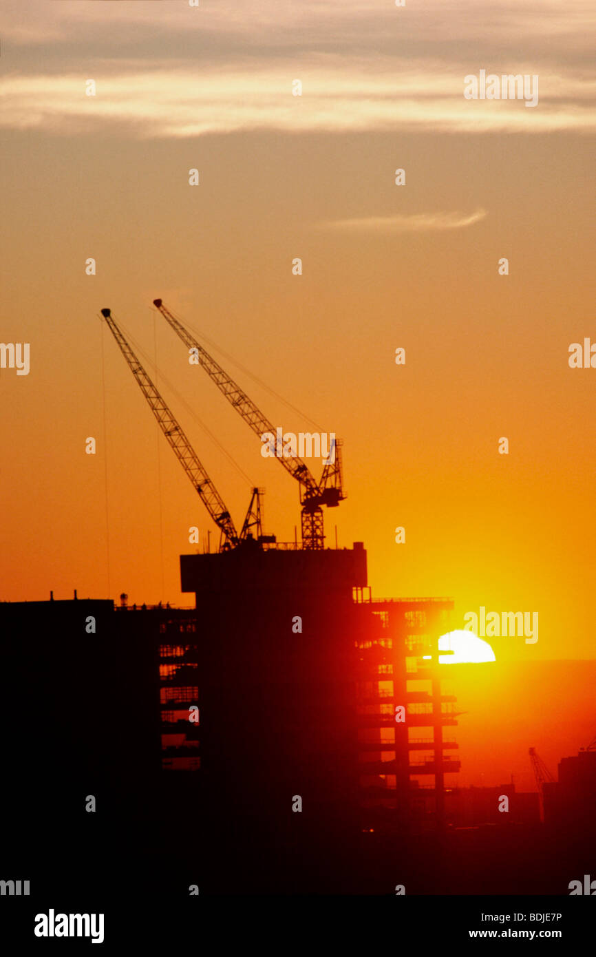 Office Constuction, gru, Silhouette al tramonto Foto Stock