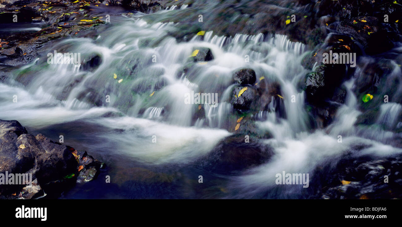 Zillie Falls, Atherton altipiano, Australia Foto Stock