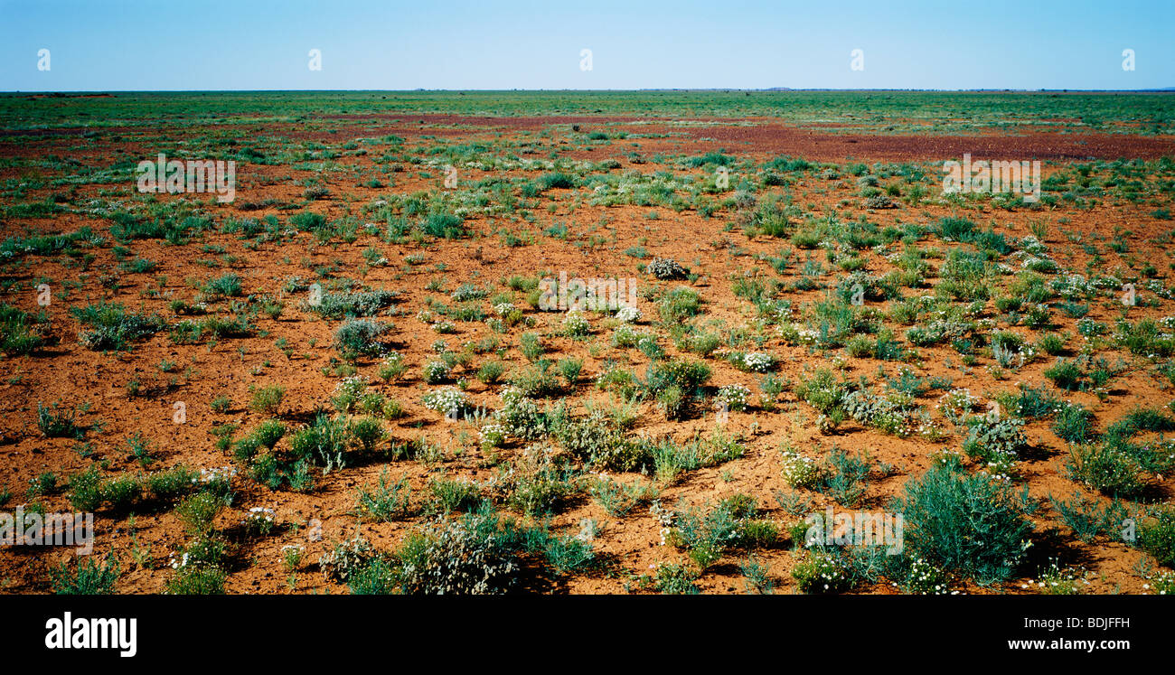 Paesaggio, pianure, Australia Foto Stock