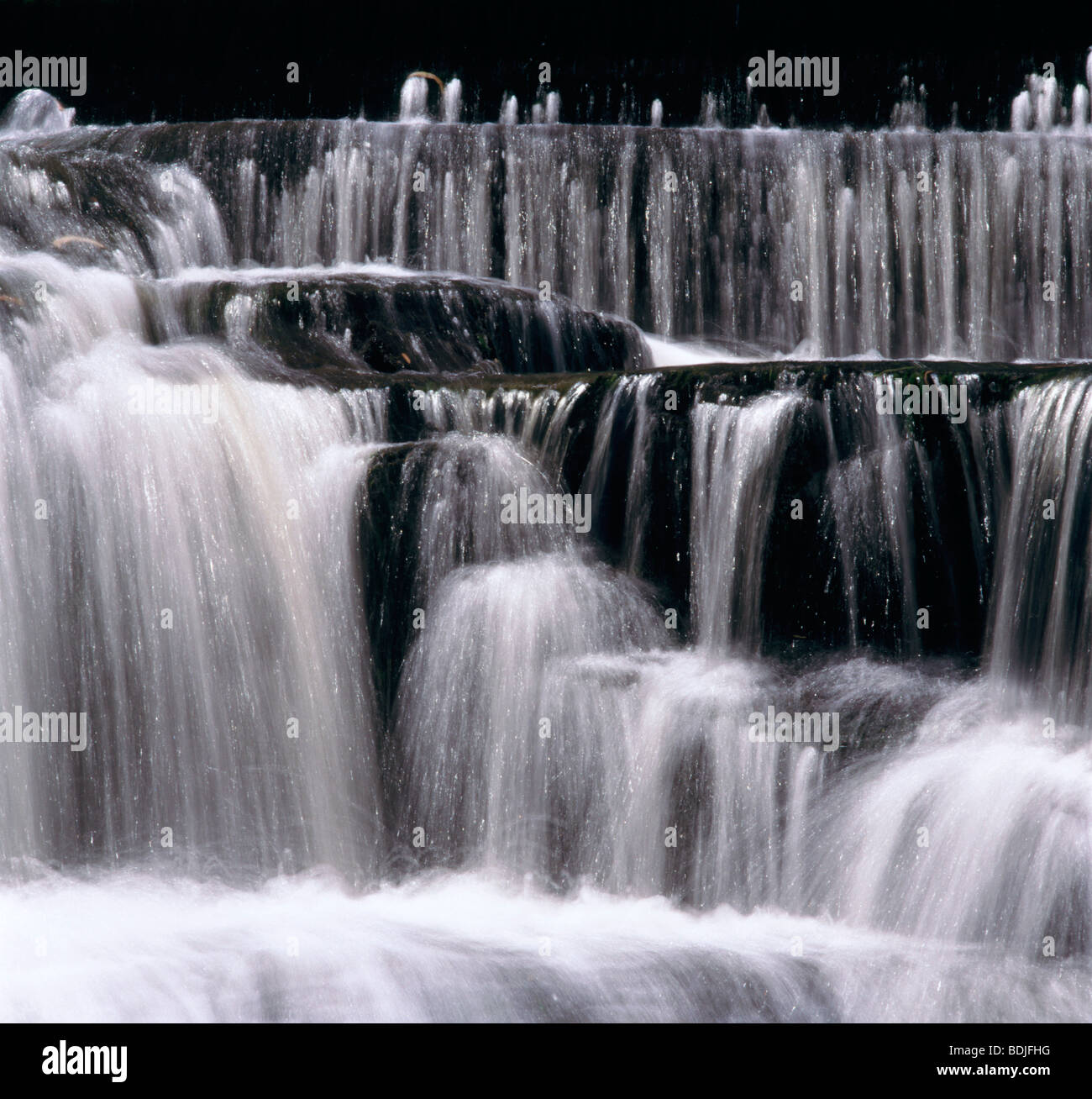 Cascata, matita cade di pino, Australia Foto Stock