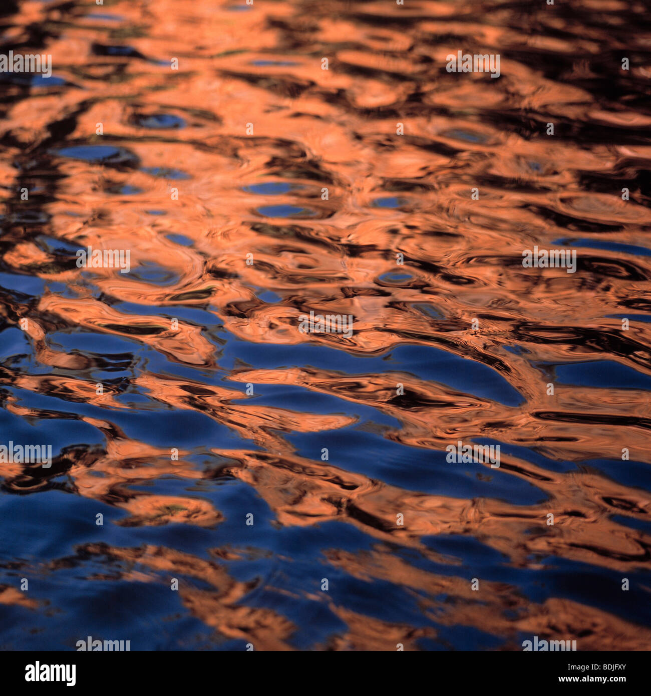 Modello di acqua, Riflessione Foto Stock
