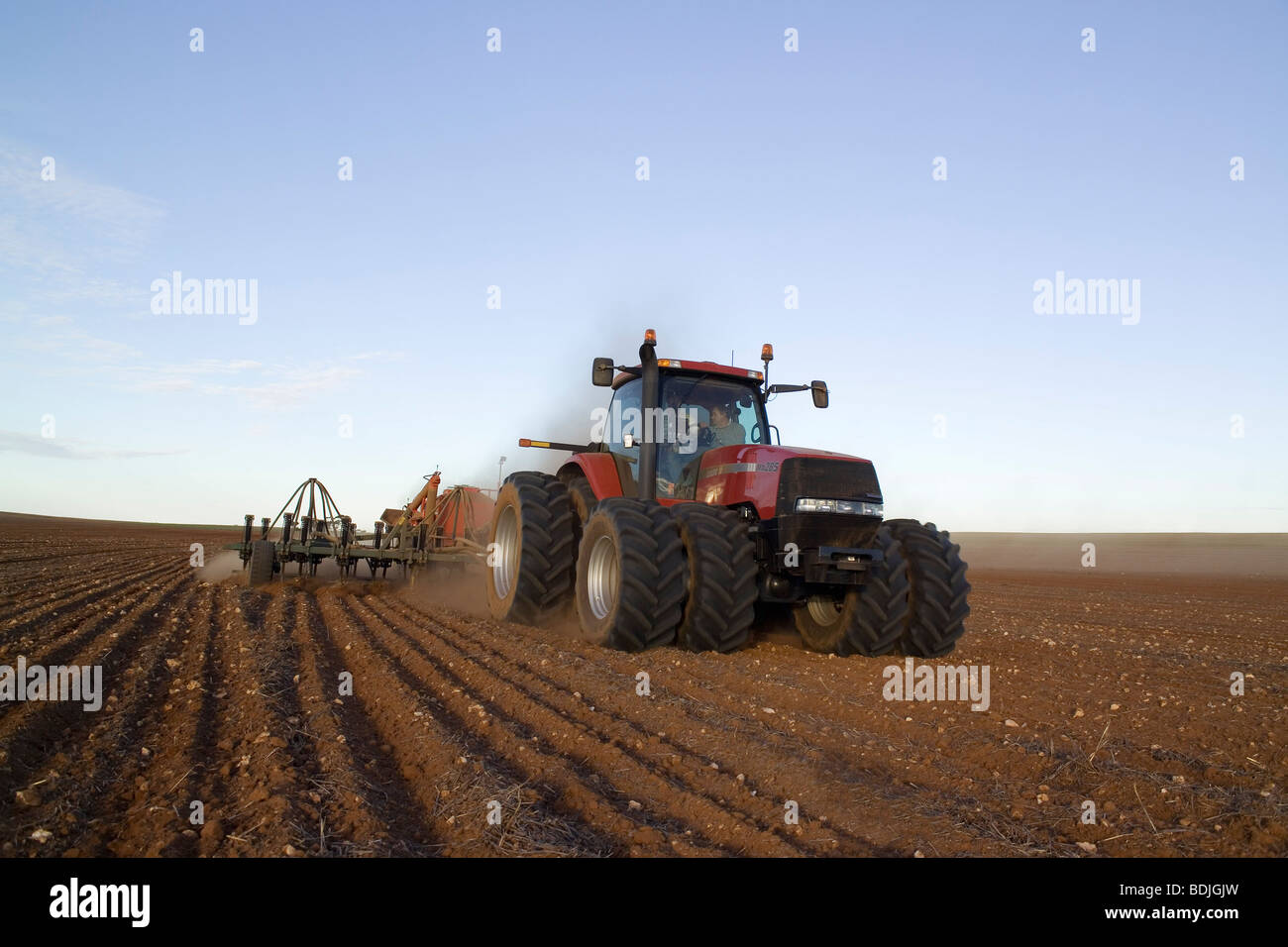 La semina del grano, il trattore tirando una seminatrice, Australia Foto Stock