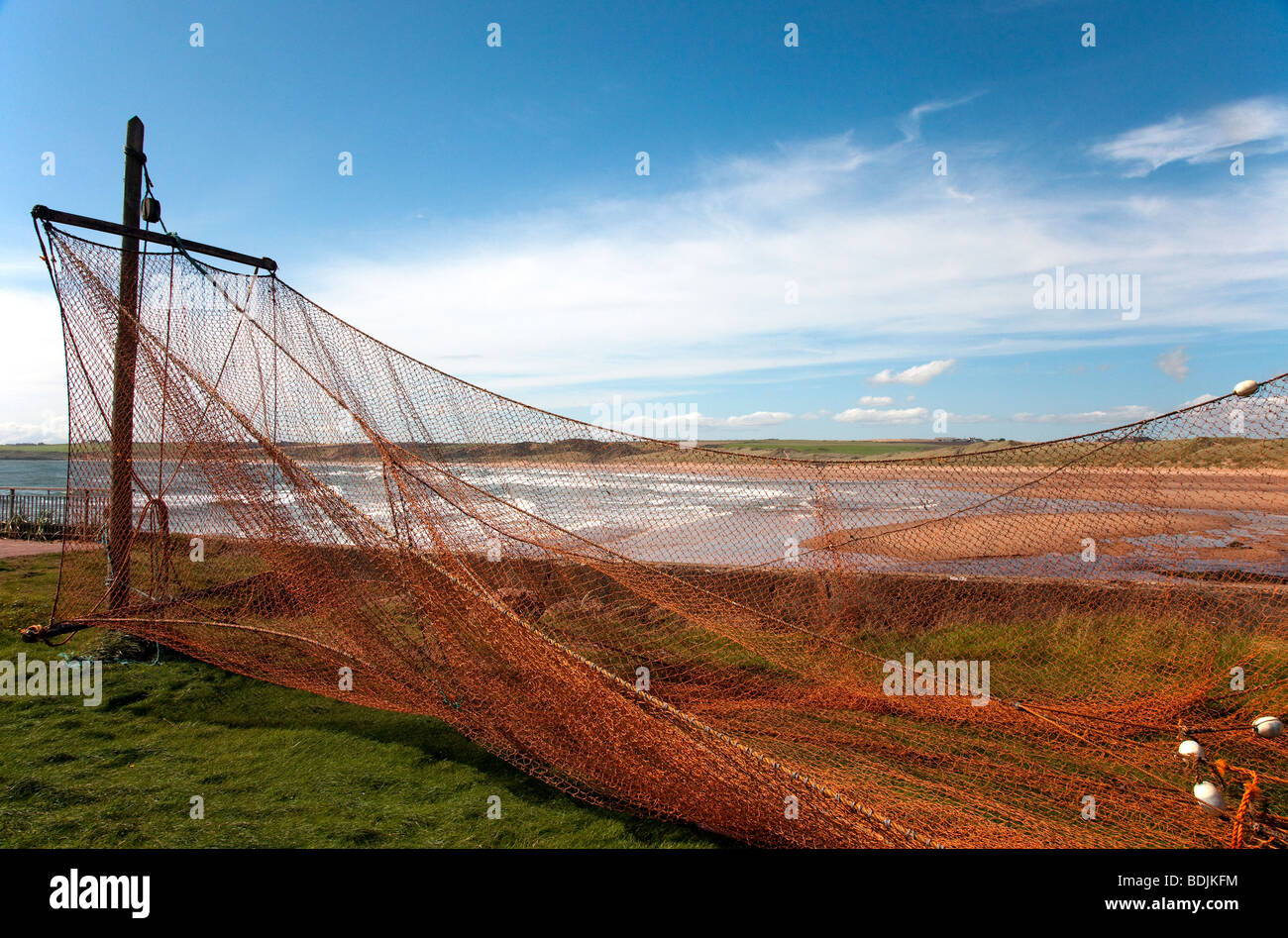 Industria scozzese della pesca marittima. Paesaggio costiero & essiccazione reti di pesci salmone appesi su pali a Cruden Bay, Aberdeenshire, Scozia nord-orientale, Regno Unito. Foto Stock