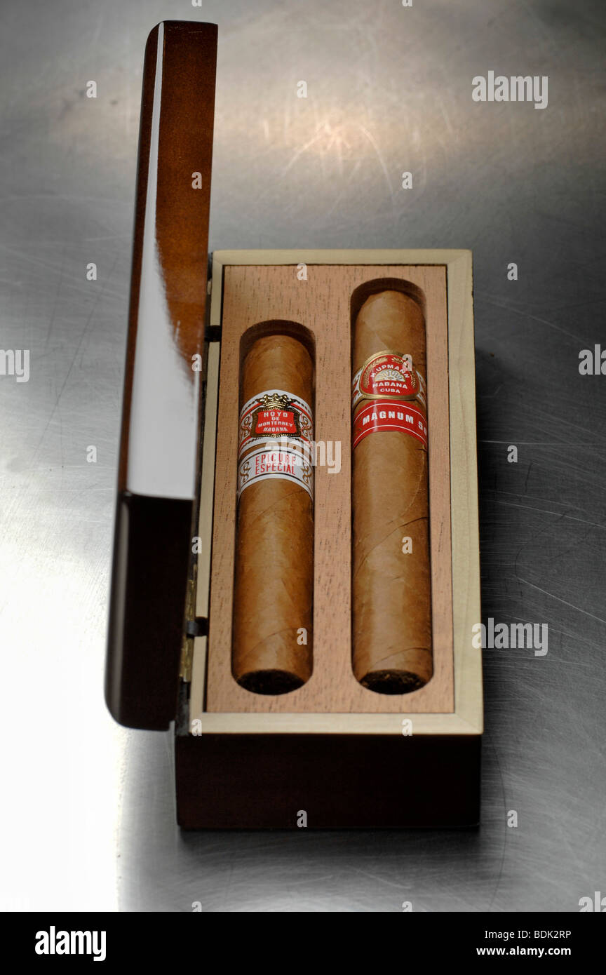 Box artigianale di sigari cubani. Foto Stock