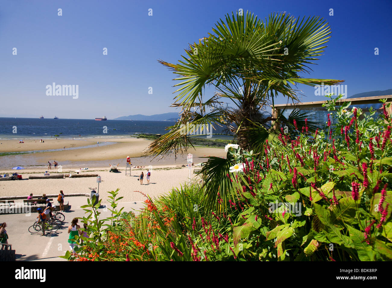 English Bay e terza spiaggia, Stanley Park, Vancouver, British Columbia, Canada. Foto Stock