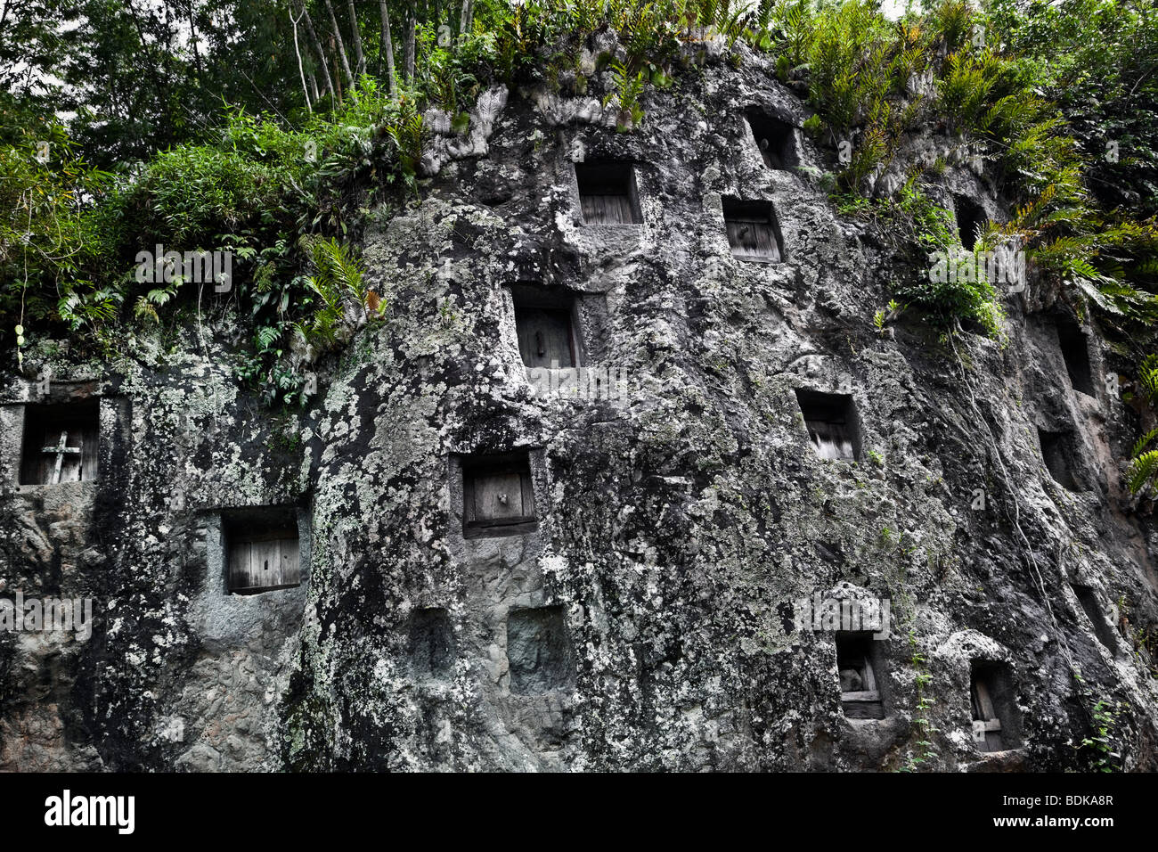 Indonesia Sulawesi, Tana Toraja area villaggio Lemo, pietra memorial graves, corpi posti in rock-conci di nicchie Foto Stock