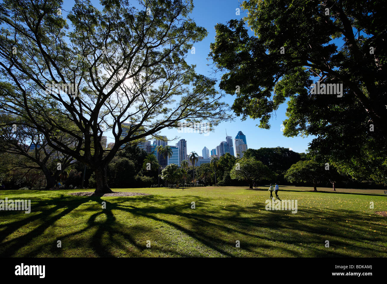 La città di Brisbane Botanical Gardens Foto Stock
