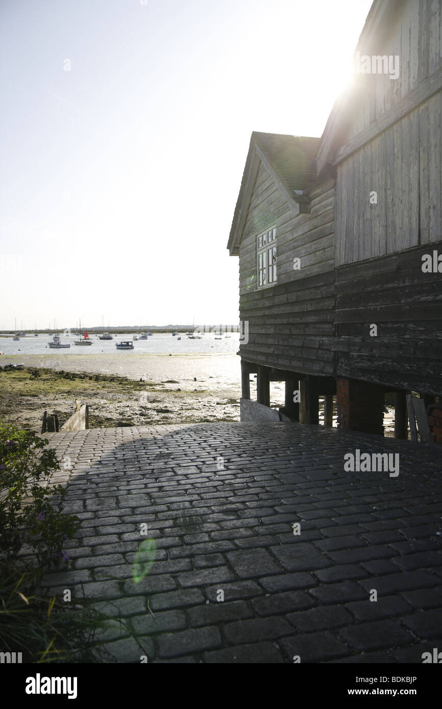 Mersea island West Mersea vista costiera regata sport acquatici la vita sull'isola lanciare fango salato Foto Stock