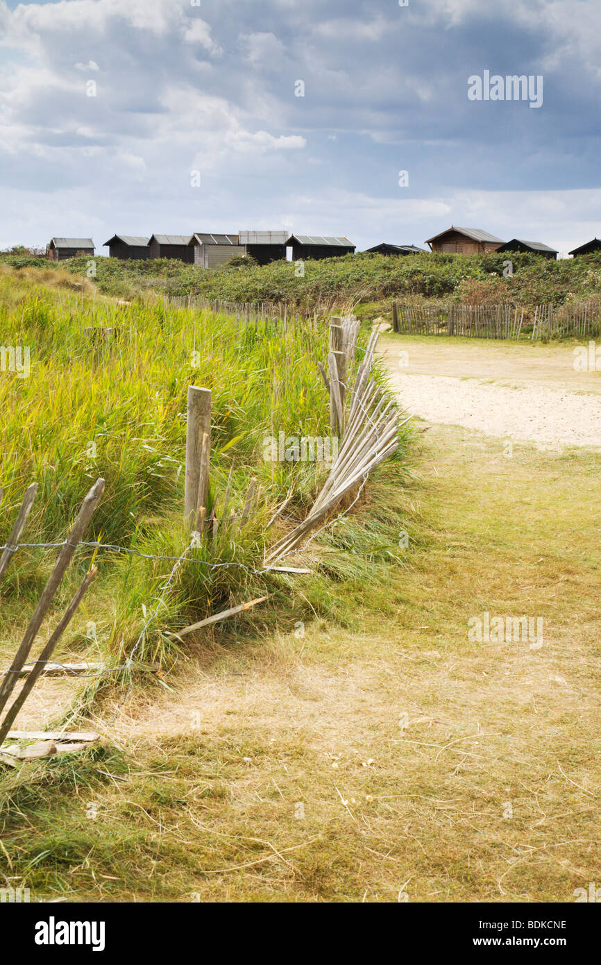 Walberswick dune di sabbia, Suffolk, Inghilterra, Regno Unito. Foto Stock