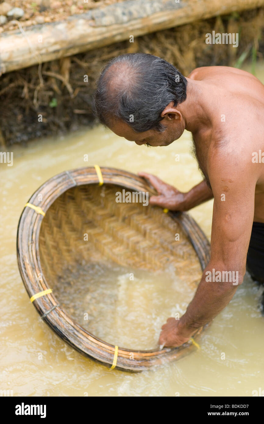 Pietra preziosa Miner panning in aprire il sito di cast. Ratnapura, Sri Lanka. Foto Stock