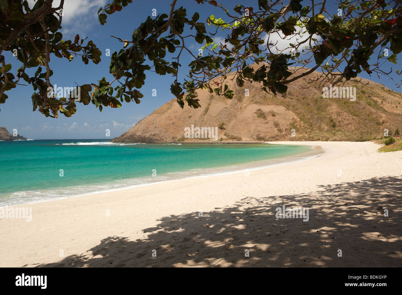 Indonesia, Lombok, South Coast, Mawun, spiaggia dalla struttura ad albero ombreggiato Foto Stock
