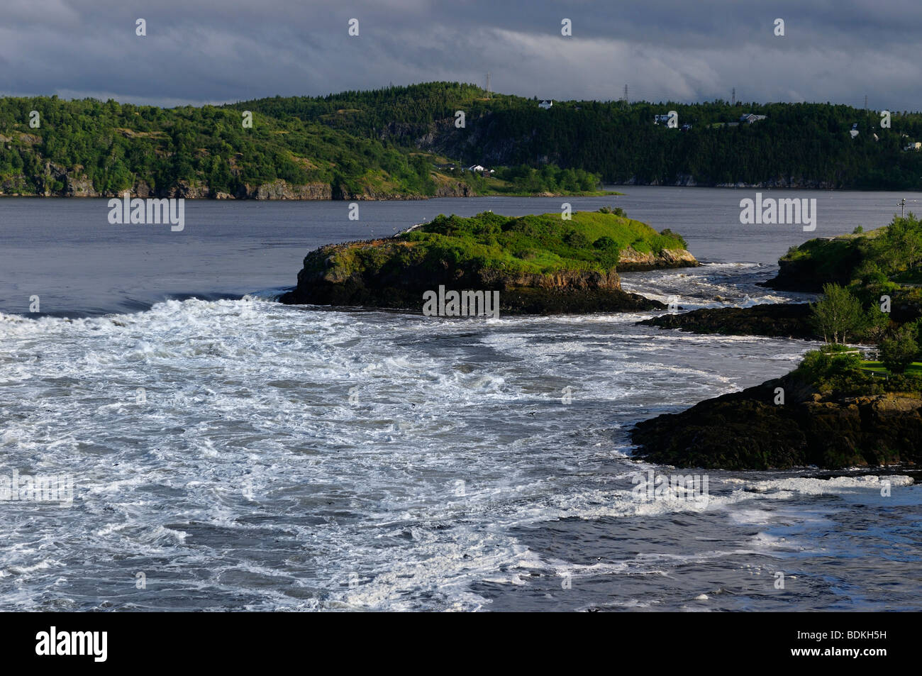 La retromarcia scende all'alba in saint john new brunswick presso la baia di Fundy bassa marea Foto Stock