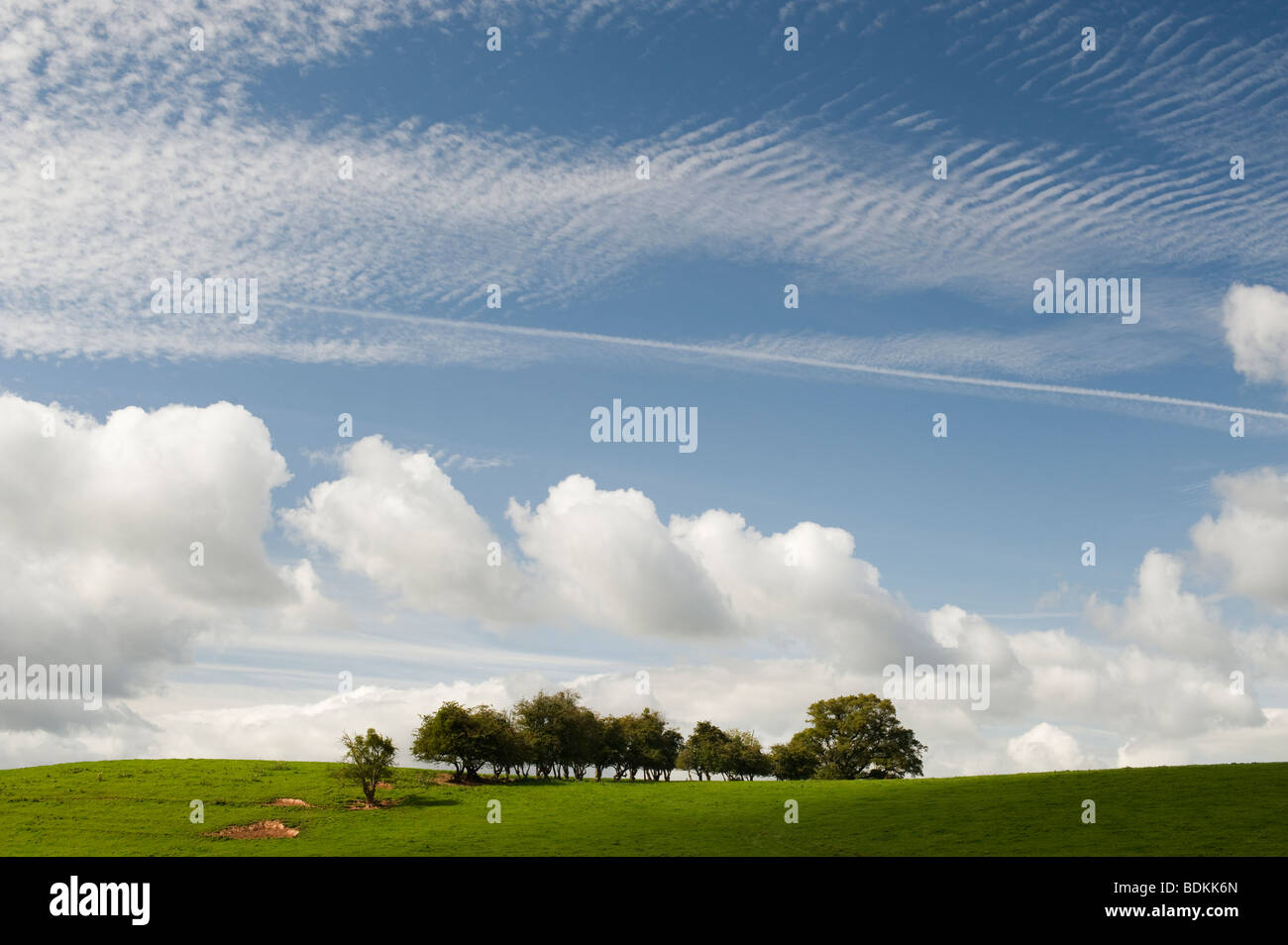 Shropshire rurale campagna vicino a Ludlow, erba verde, alberi e nuvoloso blu cielo estate Foto Stock