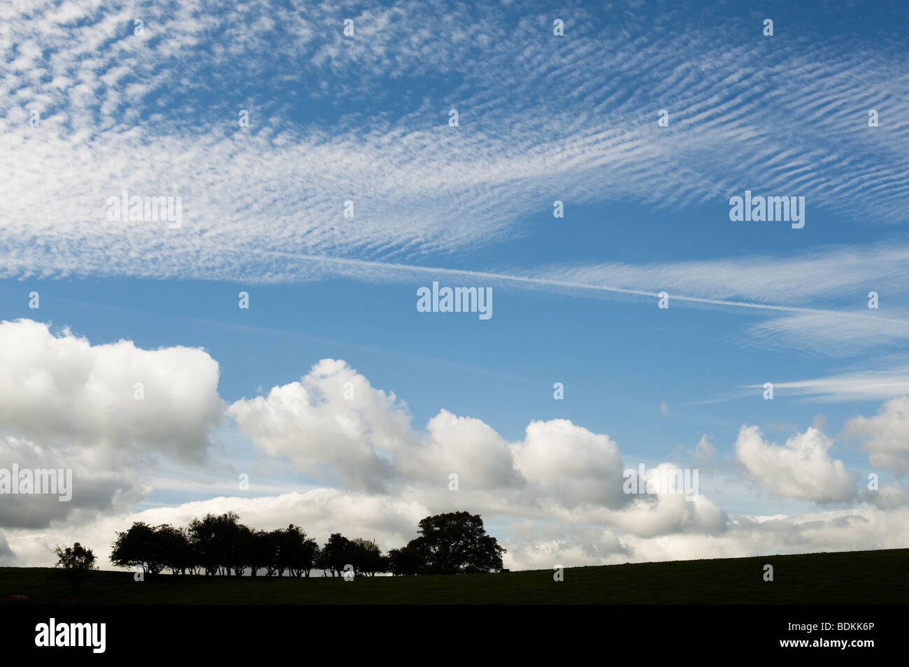 Shropshire rurale campagna vicino a Ludlow, silhouette alberi e nuvoloso blu cielo estivo. Regno Unito Foto Stock