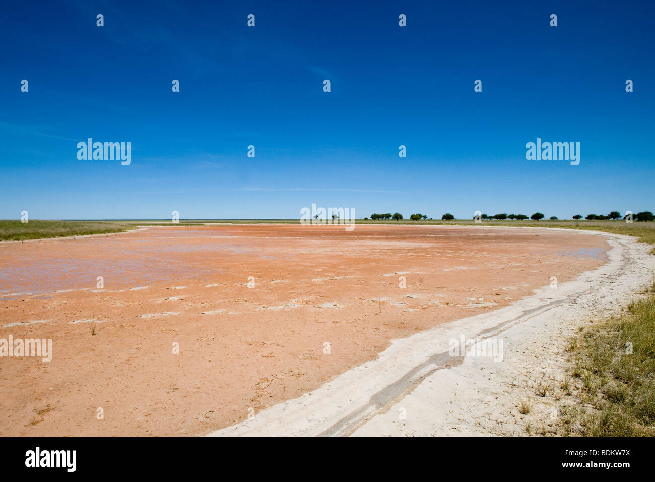 Salina essiccazione in Namutoni Etosha National Park Namibia Foto Stock