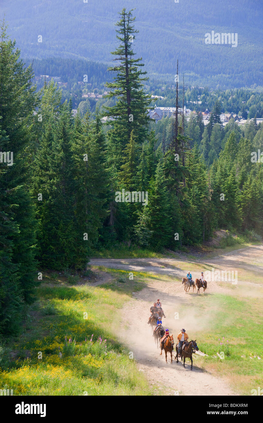 Passeggiate a cavallo sul Monte Blackcomb, Whistler, British Columbia, Canada. Foto Stock