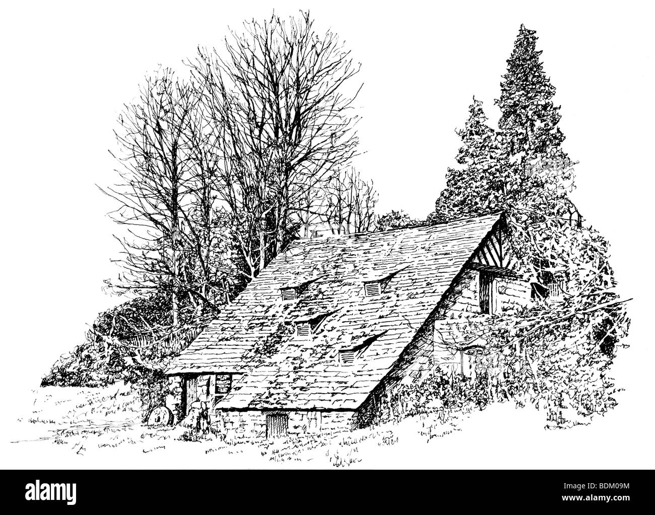 Regno Unito, Cheshire, Nether Alderley, mulino, illustrazione di linea Foto Stock