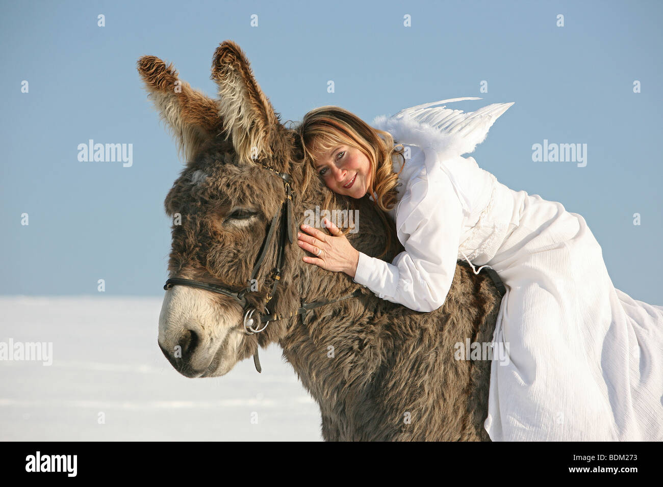 Angelo su un asino nella neve Foto Stock