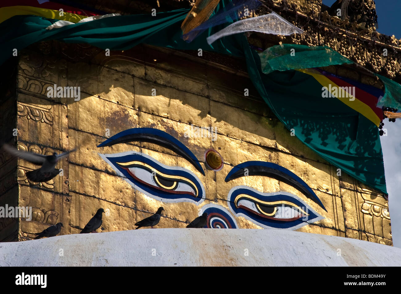 Piccioni in appoggio nella parte anteriore del santo gli occhi della stupa di Swayambhunath, comunemente noto come il Tempio delle Scimmie Foto Stock
