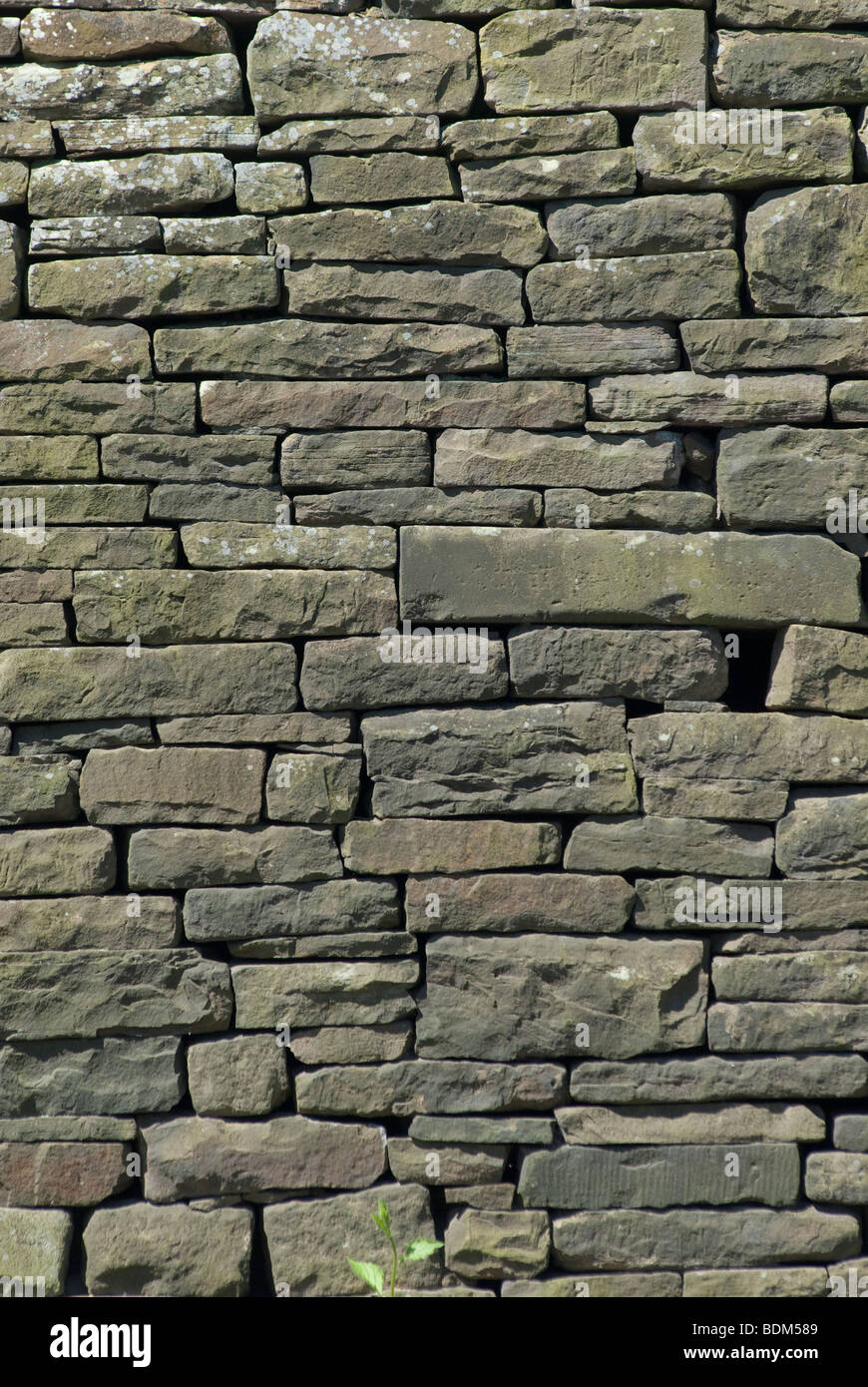 Grigio pietra muro di mattoni Foto Stock