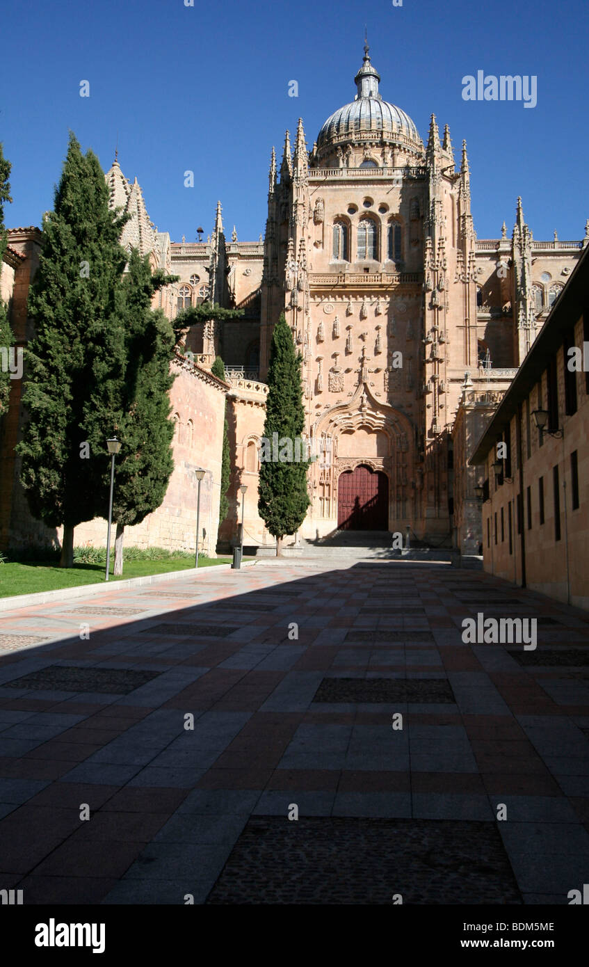 Salamanca vecchia cattedrale, Spagna Foto Stock
