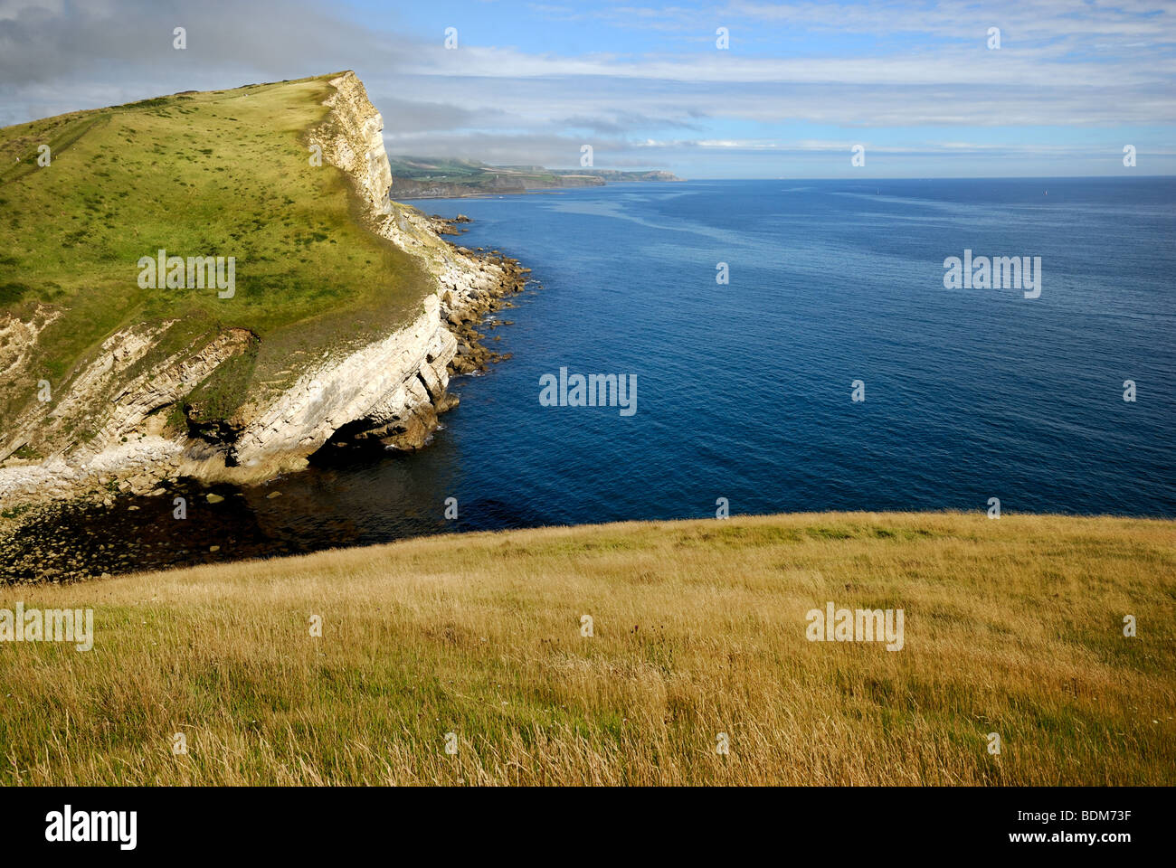 Costa a Worbarrow Bay Dorset Foto Stock