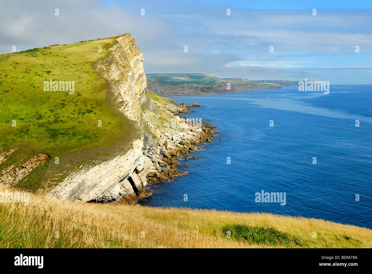 Costa a Worbarrow Bay Dorset Foto Stock