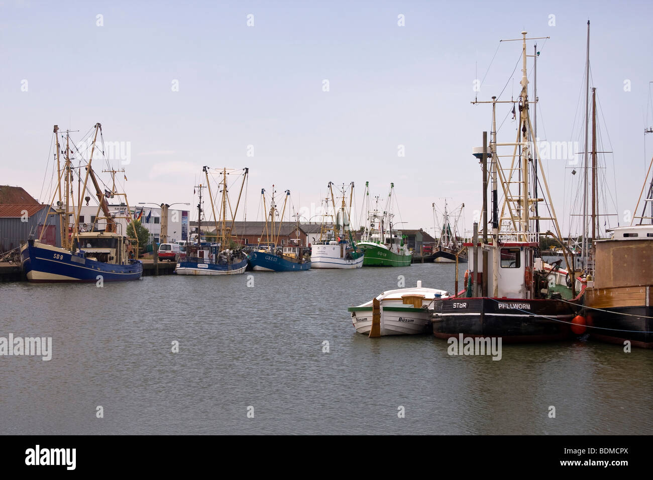 Frese di pesca nel porto di Buesum, Dithmarschen district, Schleswig-Holstein, Mare del Nord, Mare di Wadden, Germania, Europa Foto Stock