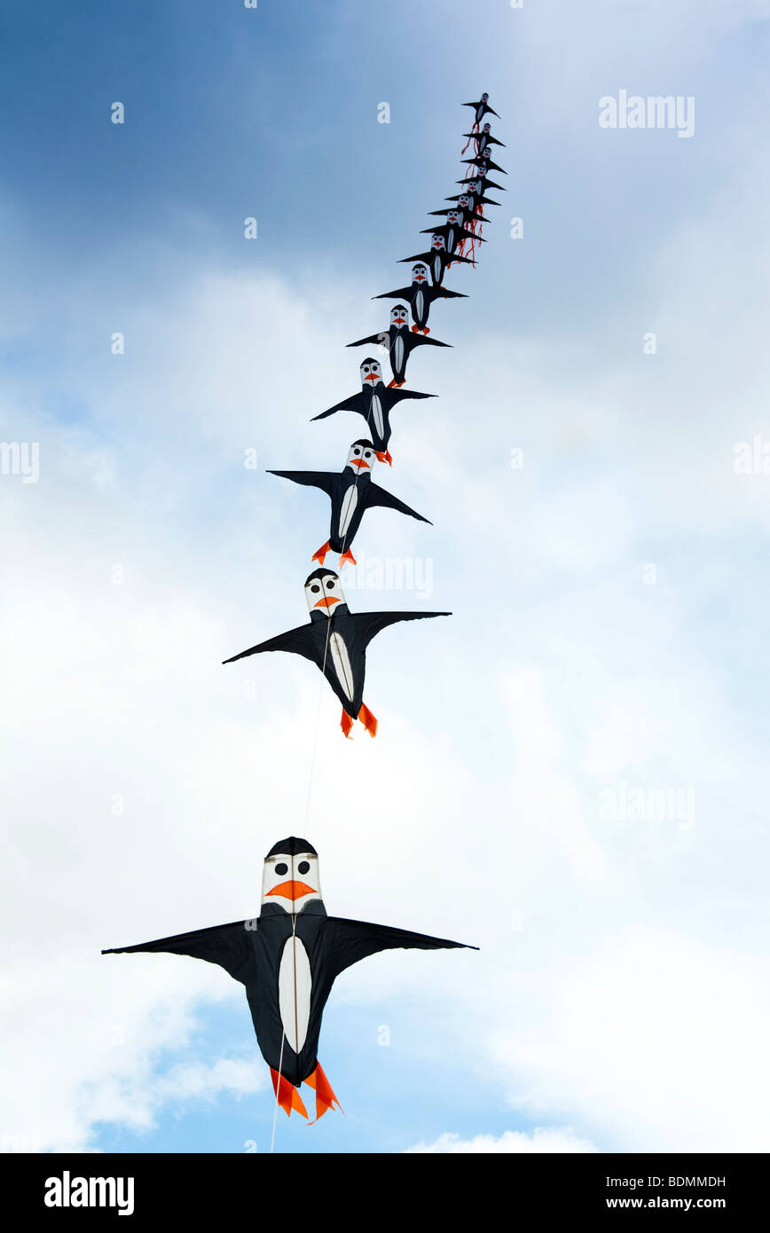 Fila di puffin aquiloni Foto Stock