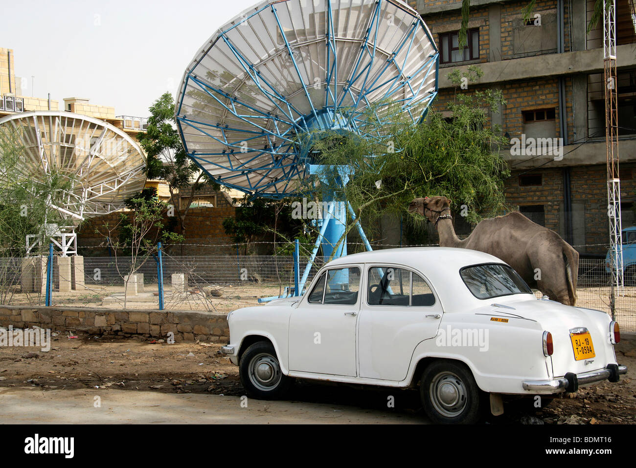 Camel, auto, un piatto di satellite in Jaisalmer, Rajasthan, India, Asia Foto Stock