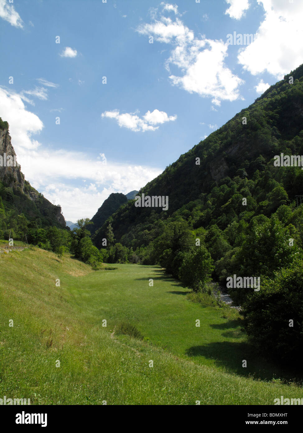 Prato di montagna nella valle d' Aspe nei Pirenei francesi Foto Stock