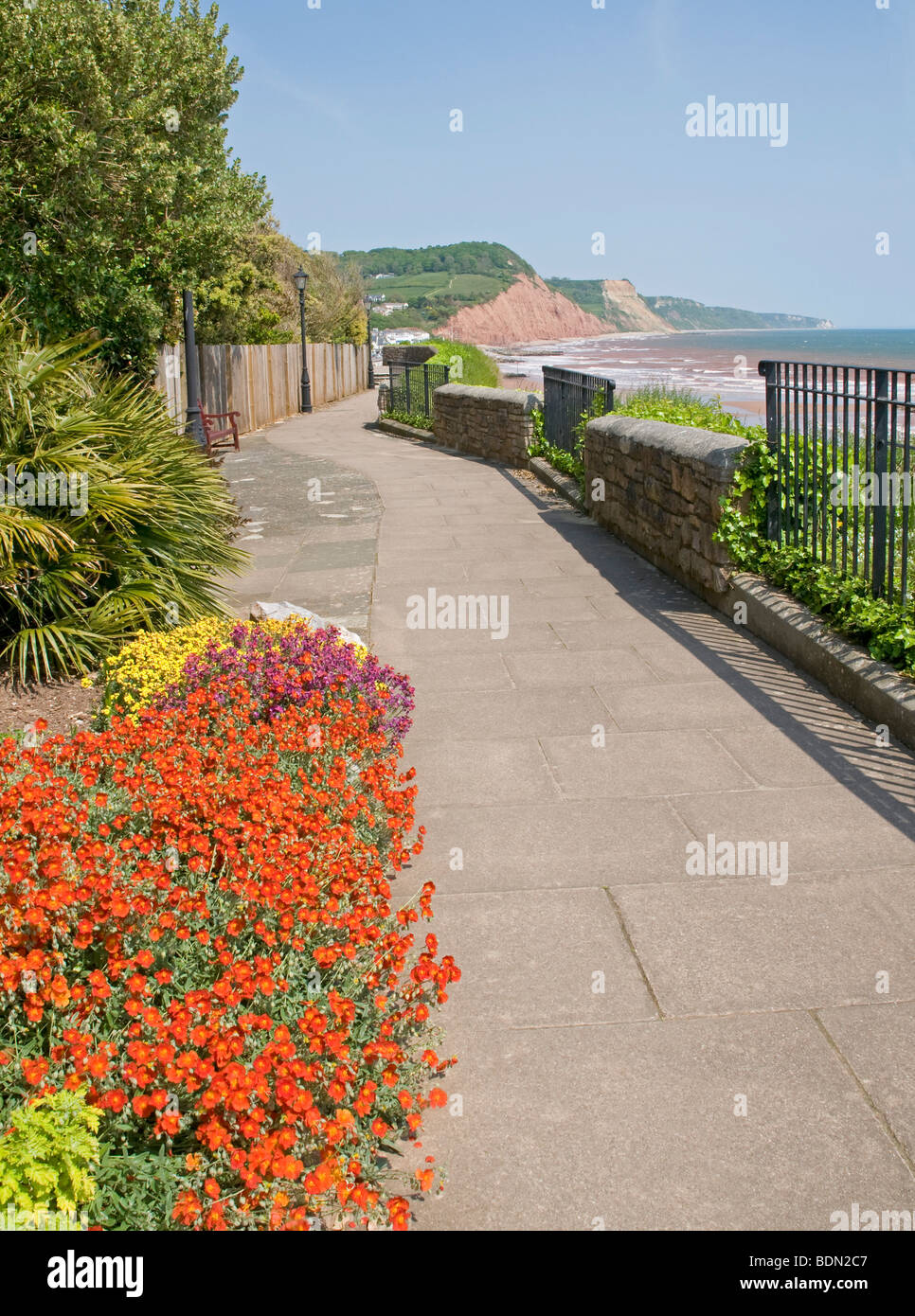 Guardando verso est lungo la South Devon Coast da Connaught giardini, Sidmouth Foto Stock