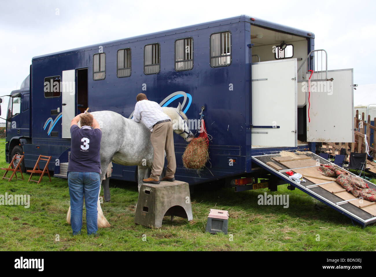 Horse è collegato a un box per cavallo al Moorgreen Show, Moorgreen, Nottinghamshire, England, Regno Unito Foto Stock