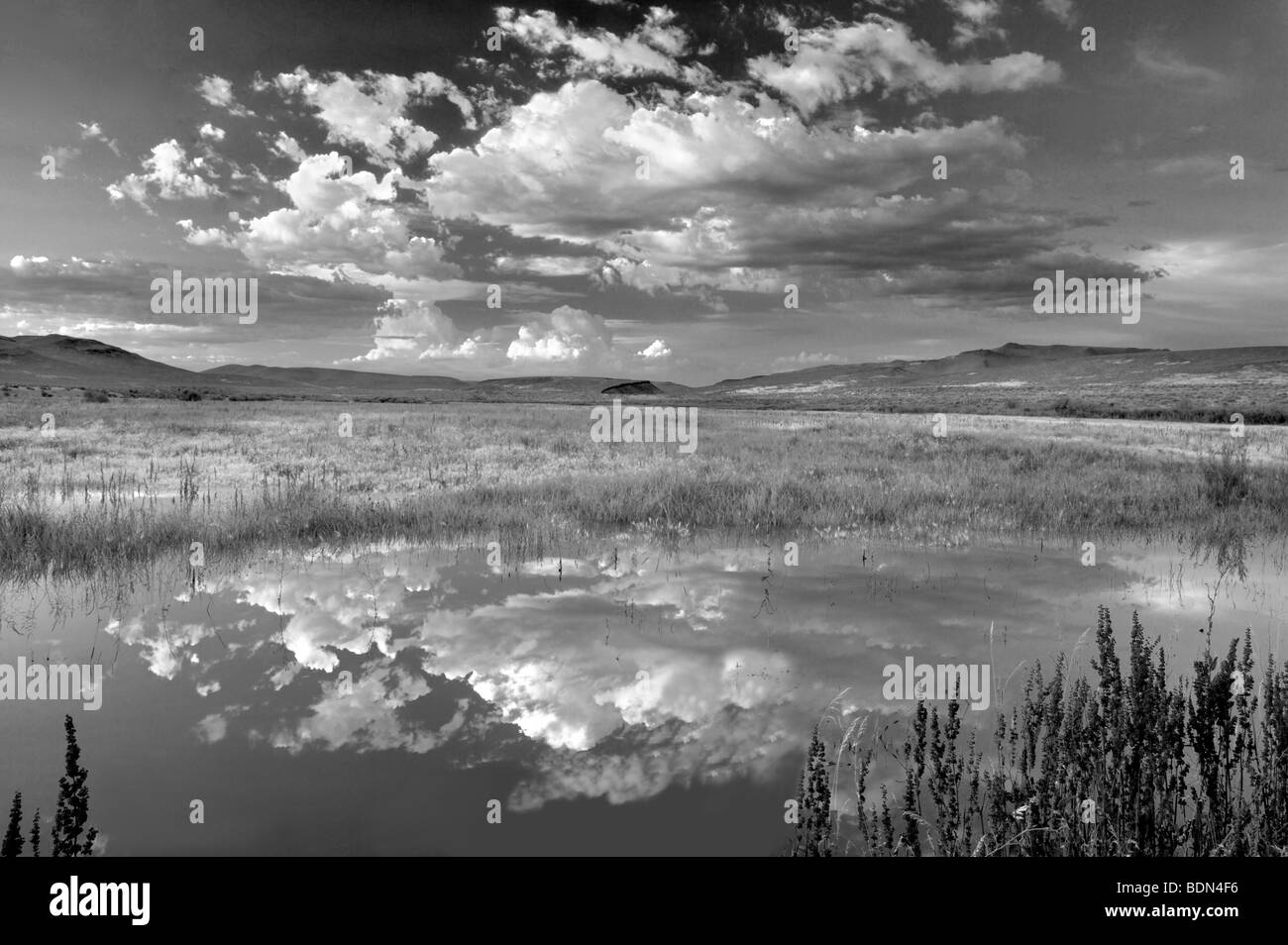 Tramonto nubi sul laghetto. Black Rock Desert National Conservation Area. Nevada Foto Stock