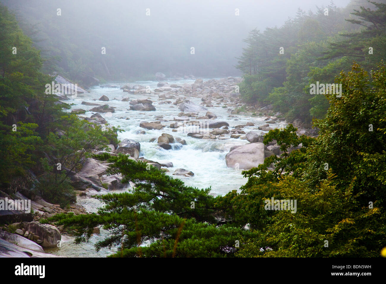 Nel fiume Soraksan Parco Nazionale nella provincia Gangwondo Corea del Sud Foto Stock