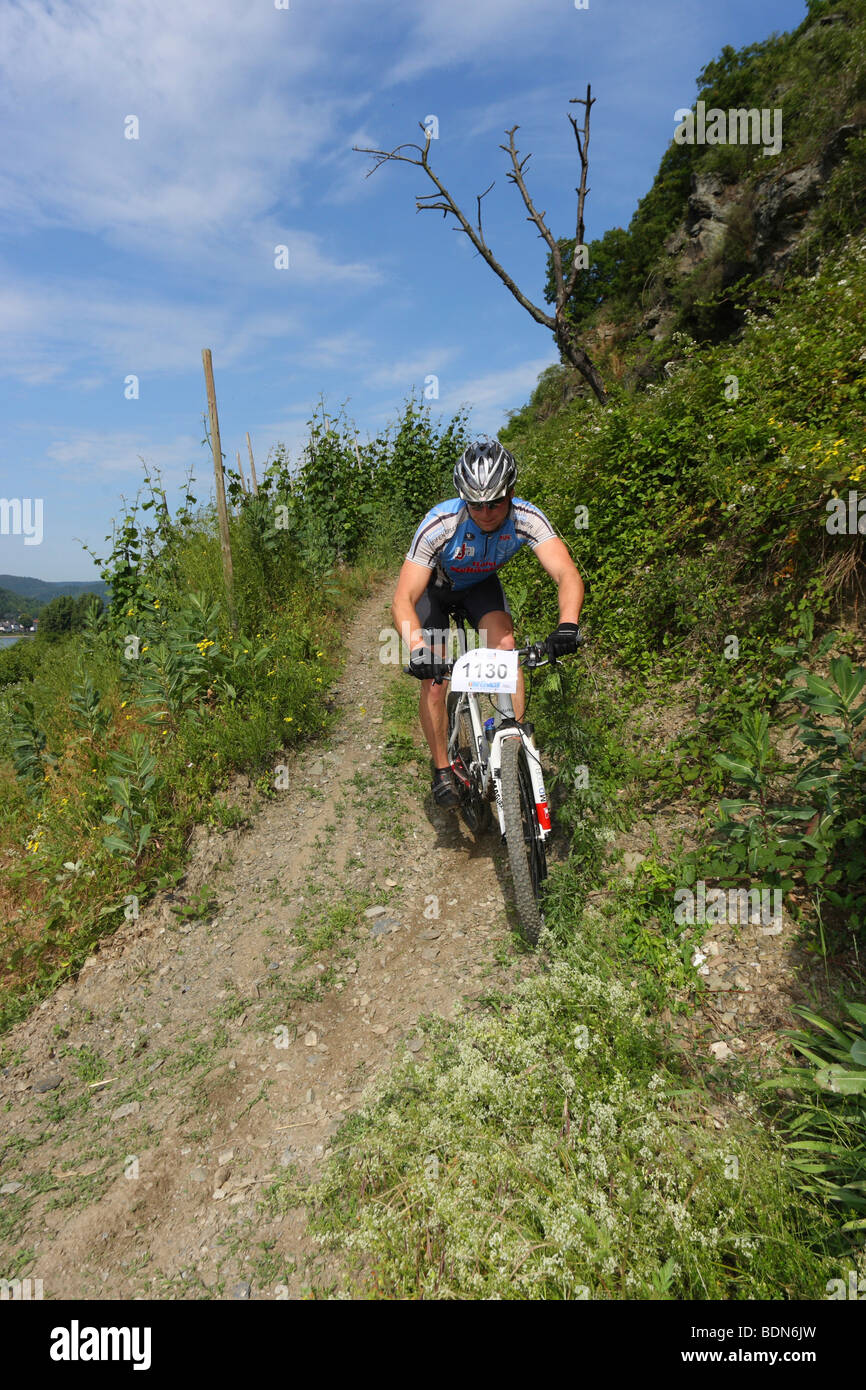 Mountain bike race nei vigneti a Boppard, Renania-Palatinato, Germania, Europa Foto Stock