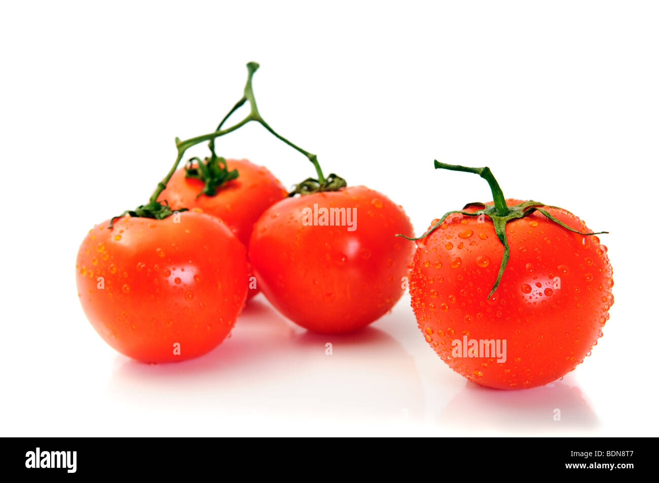 Gruppo isolato di pomodoro su bianco. Focus sul primo Foto Stock