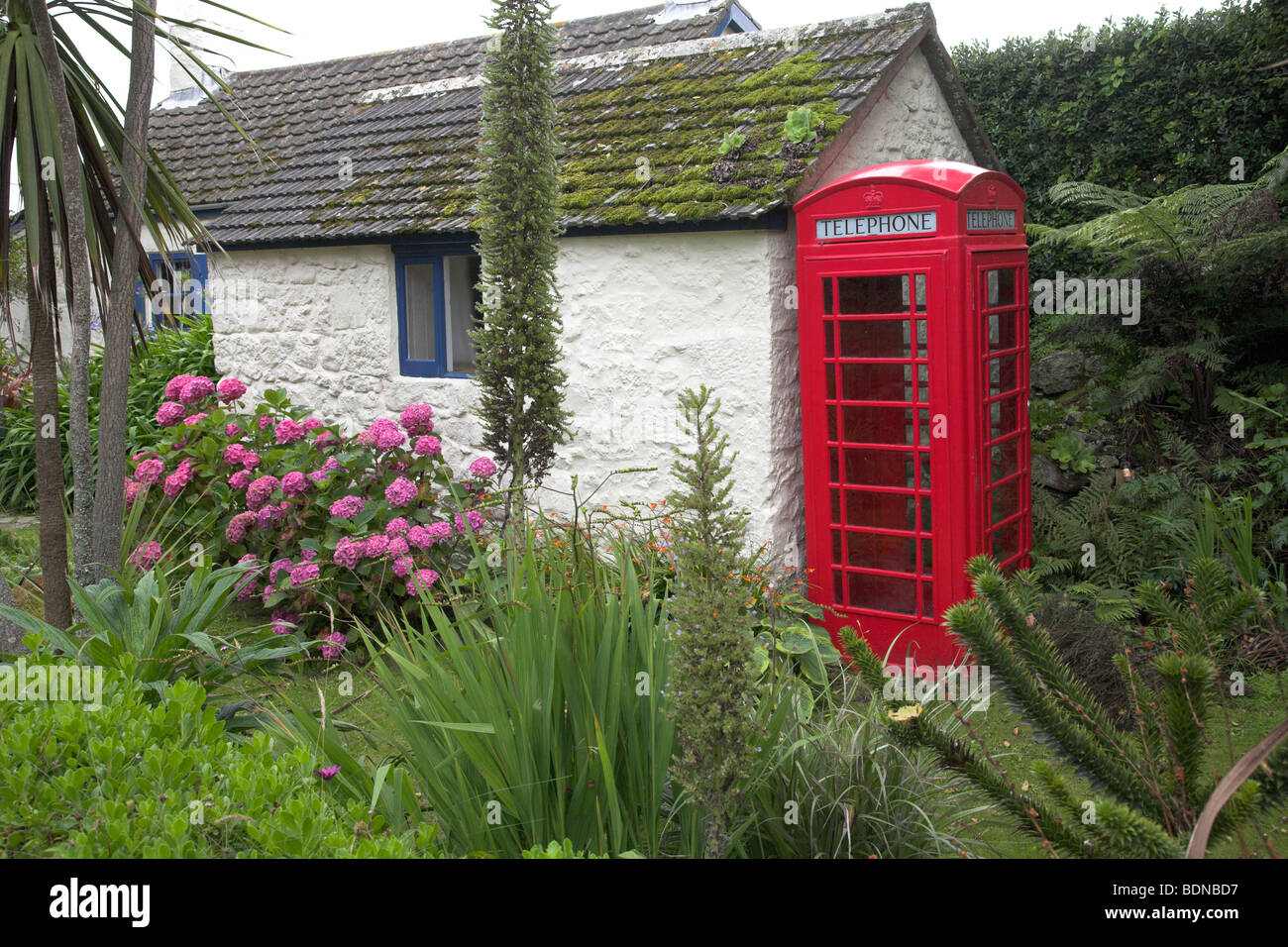 Luminosa di colore rosso british casella telefono Foto Stock