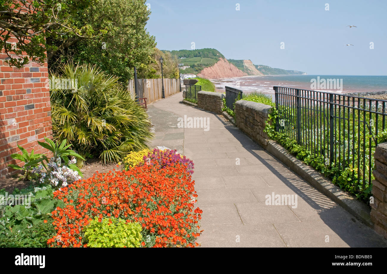 Guardando verso est lungo la South Devon Coast da Connaught giardini, Sidmouth Foto Stock