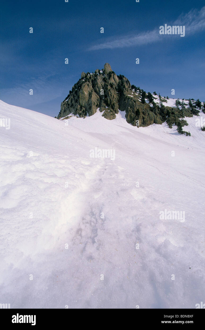 A pochi metri dalla "Lac negre' nel parco nazionale del Mercantour Foto Stock